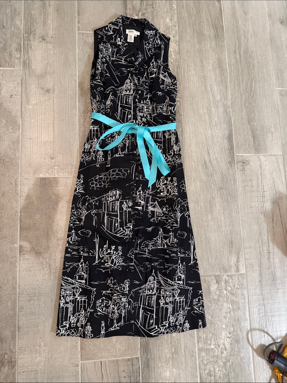 Coldwater Creek Black Dress with White Scenic Print
